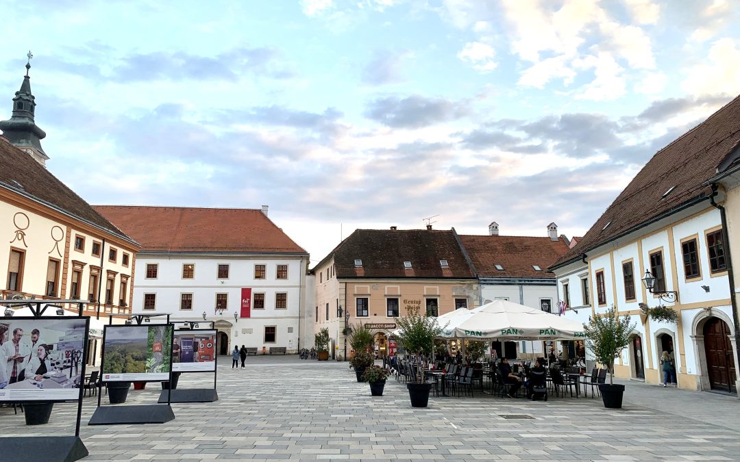 Strengthening local government roles in Croatia