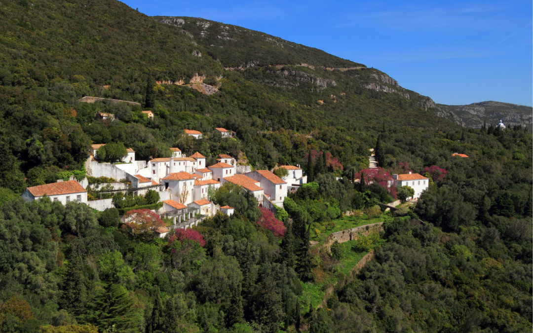 The EUCityCalc podcast: The environmental strategies adopted by Portuguese cities