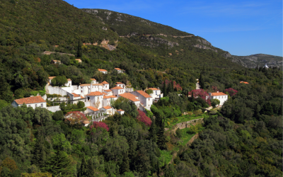 The EUCityCalc podcast: The environmental strategies adopted by Portuguese cities