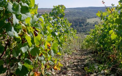 The EUCityCalc podcast: Testing energy solutions in Dijon